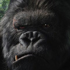 kong KING KONG