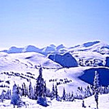 Christineharrand52