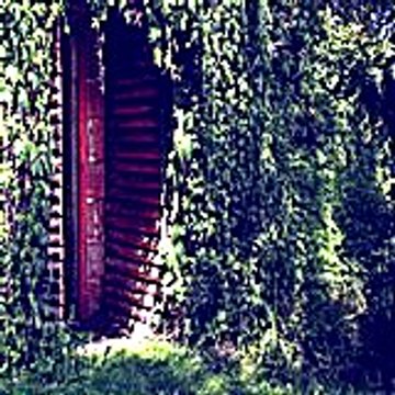 Alexanderwhitfield38