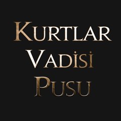 Kurtlar Vadisi Pusu