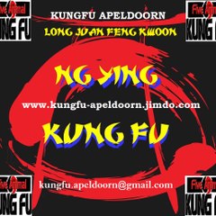 Ng Ying Kungfu Apeldoorn
