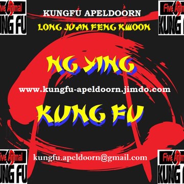 Ng Ying Kungfu Apeldoorn