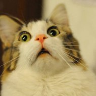 Technology Guide Channel