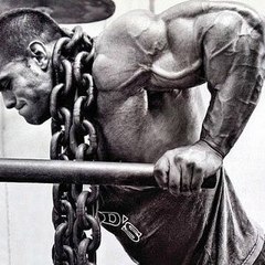 The Bodybuilding Nation