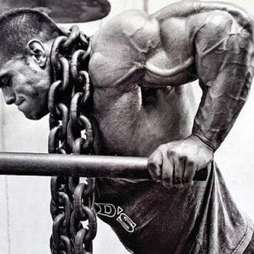 The Bodybuilding Nation