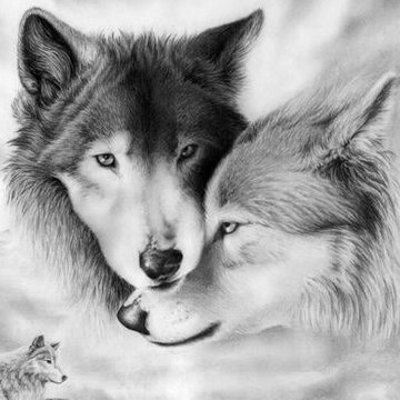 Loup2121