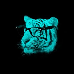 RLHVideos