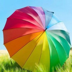 Mis Cortes Favoritos