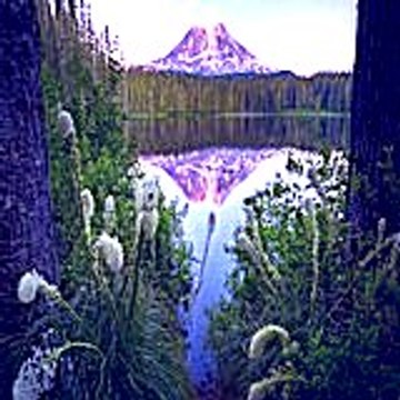 Timothykightley91