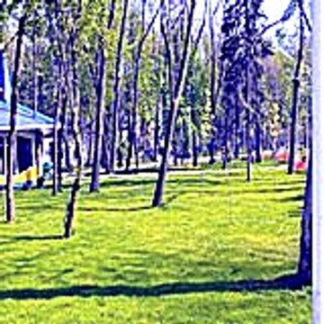 Cynthiavickery56
