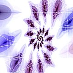 Dominicosinkins89