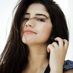 Indo Pak Punjabi Urdu English Mix  Songs