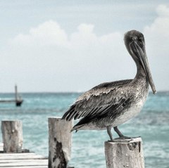 SlowLifeTravel