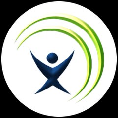 Bellevue web designer firms