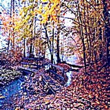 Paulinamilne51