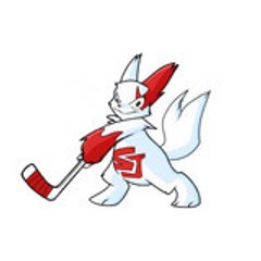 Saint Juéry Lo Capial - Roller In Line Hockey