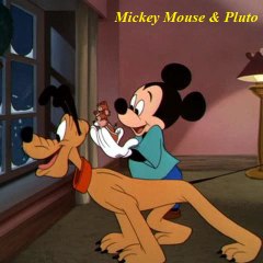 Cartoons for kids