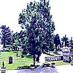 Gilbertbulkeley29