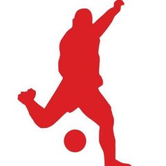 polskieligi.net