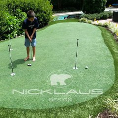RaleighArtificialGrass