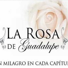 La Rosa de Guadalupe HD