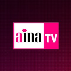 AINA TV LLC