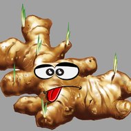 Ginger Is Tasty
