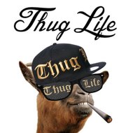 BestThugLifeVideos