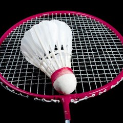 Badminton Moment