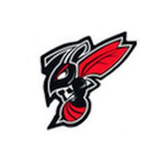 The Red Hornet