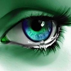 Quality Videos and Entertainment