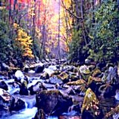 Samuelgreenbury86