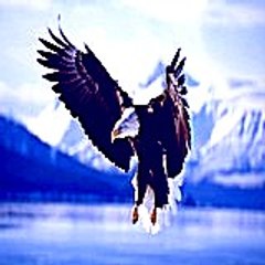 Tabithaketcham30