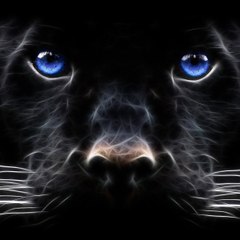 Panther Corp