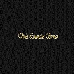 Violet Limousine Service Inc.