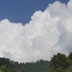 paatshala