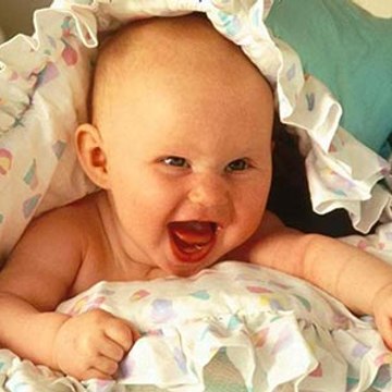 Funny Videos