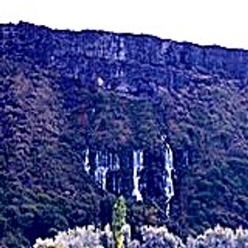 Robertabigham78