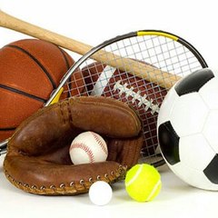 Sport Lover
