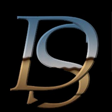 DS Electronics