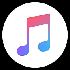 Daily Videos