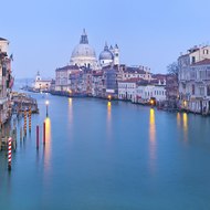 Member Travel Services