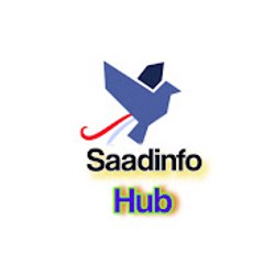 saadinfo Hub