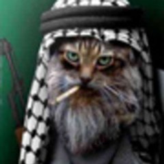 zigoomar