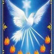 Marcos Antonio Férri