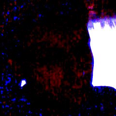 Delson Victor