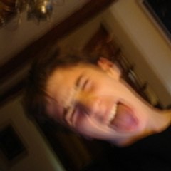 alexis le roi des animeau