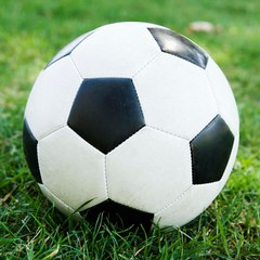 world sport
