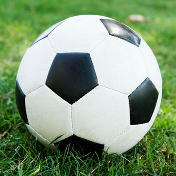 world sport