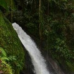 zion971